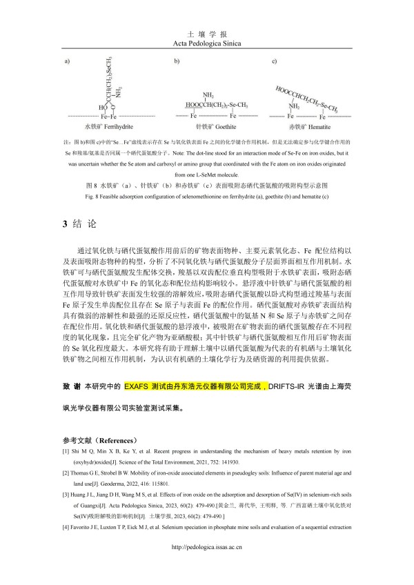 表面光譜-能譜技術(shù)解析氧化鐵與硒代蛋氨酸的相互作用特征.pdf_12.jpg